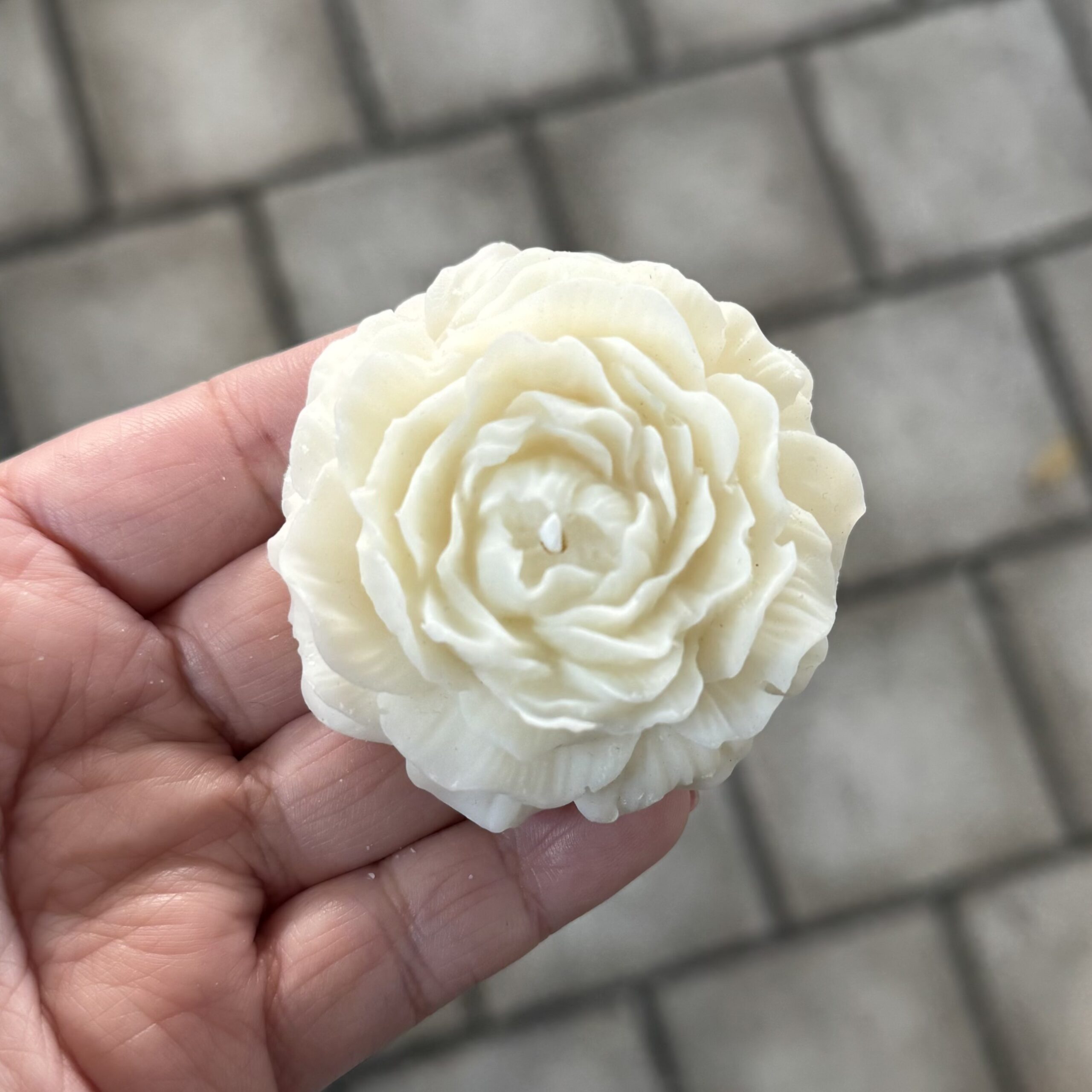 Peonia